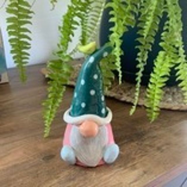Gnomes